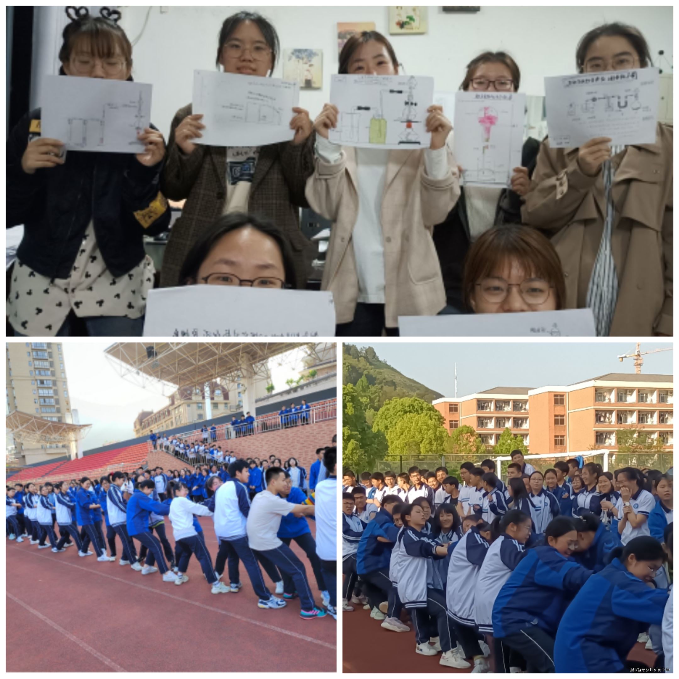 实训动态 浙师大化学专业赴青田中学实习简报