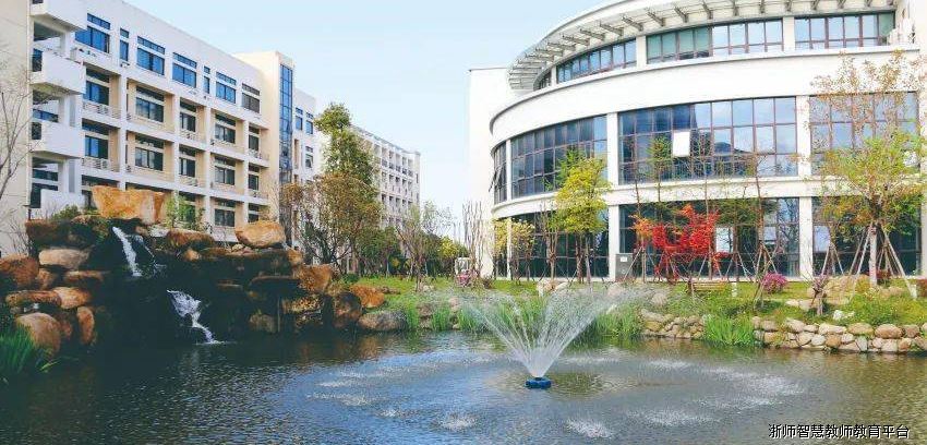 回望过去，展望未来——龙港中学实习团队第十周报道